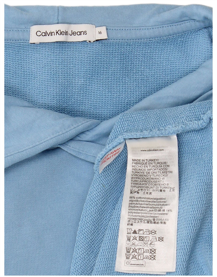 CALVIN KLEIN JEANS Chłopięcy sweter z kapturem 15-16 lat, niebieski, bawełniany