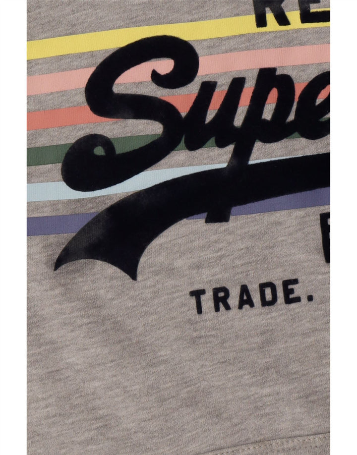 Damski sweter z kapturem i grafiką SUPERDRY UK 10 Small, szary, bawełniany
