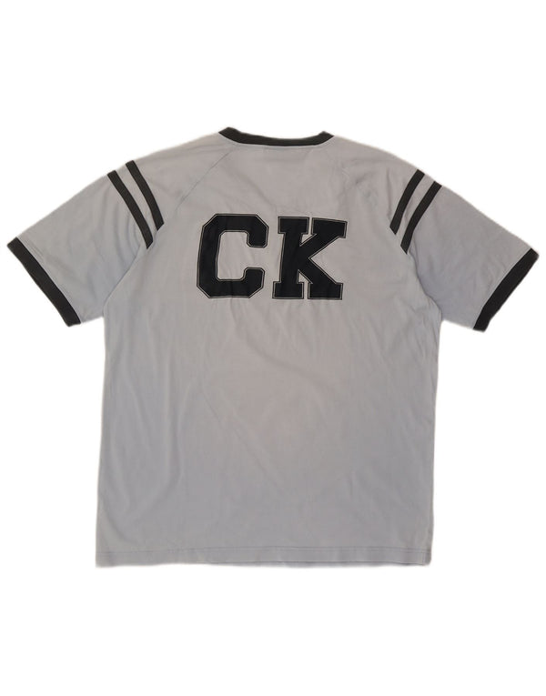 Męski T-shirt z grafiką CALVIN KLEIN JEANS, duży, niebieski