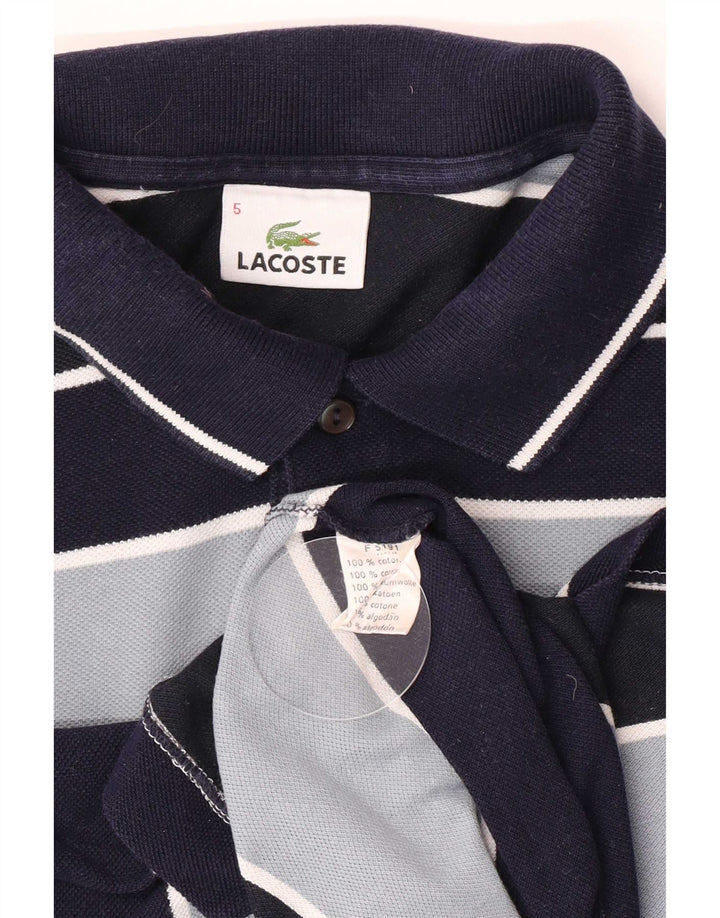 Męska koszulka polo Lacoste, rozmiar 5, duża, bawełniana w granatowe paski
