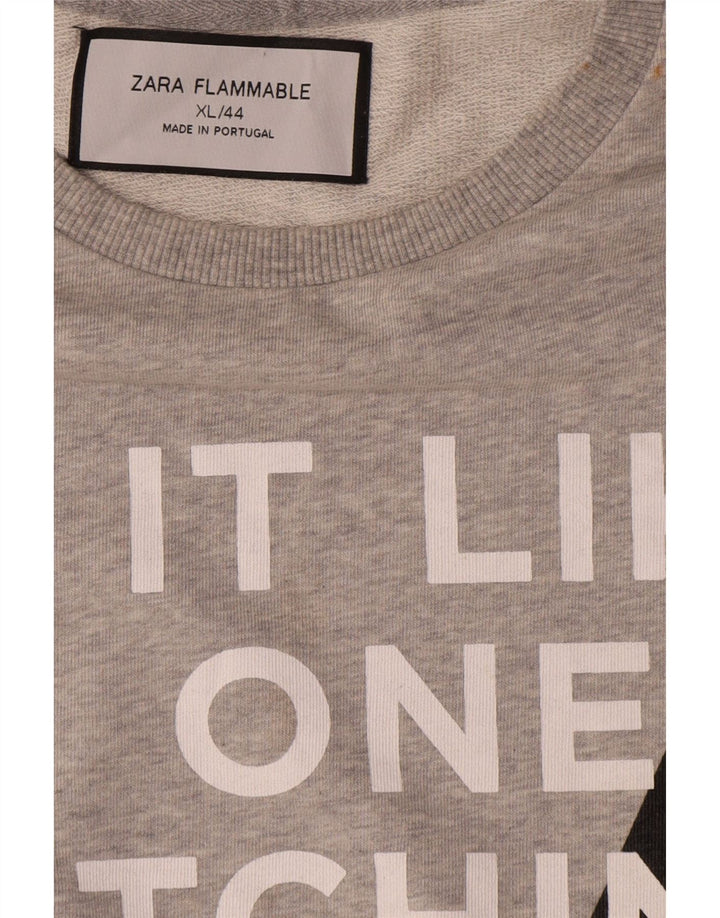 Męska bluza z grafiką Zara XL, szara, bawełniana
