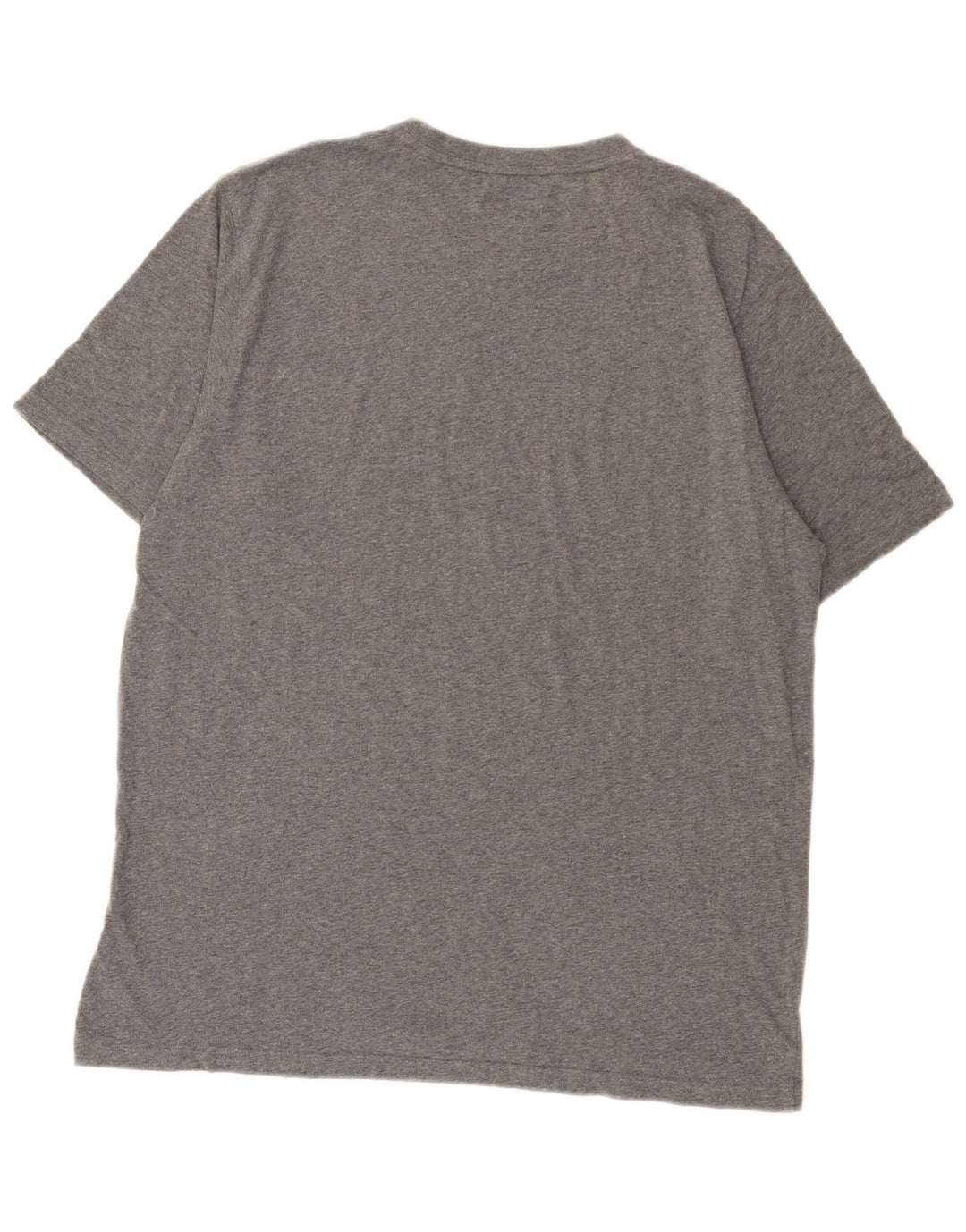 Męski T-shirt DICKIES, duży, szary