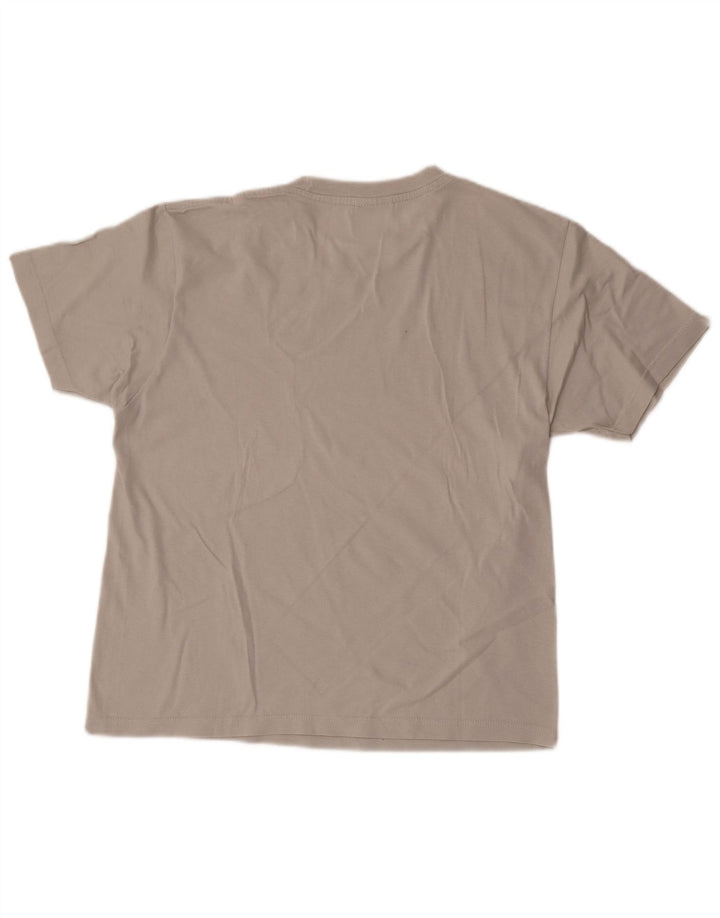 Męski T-shirt Champion z grafiką, mały, szary