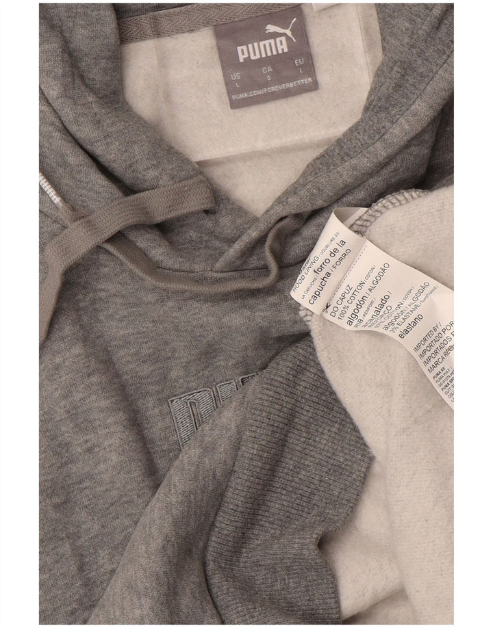 Męski sweter z kapturem i grafiką PUMA, duży, szary, bawełniany