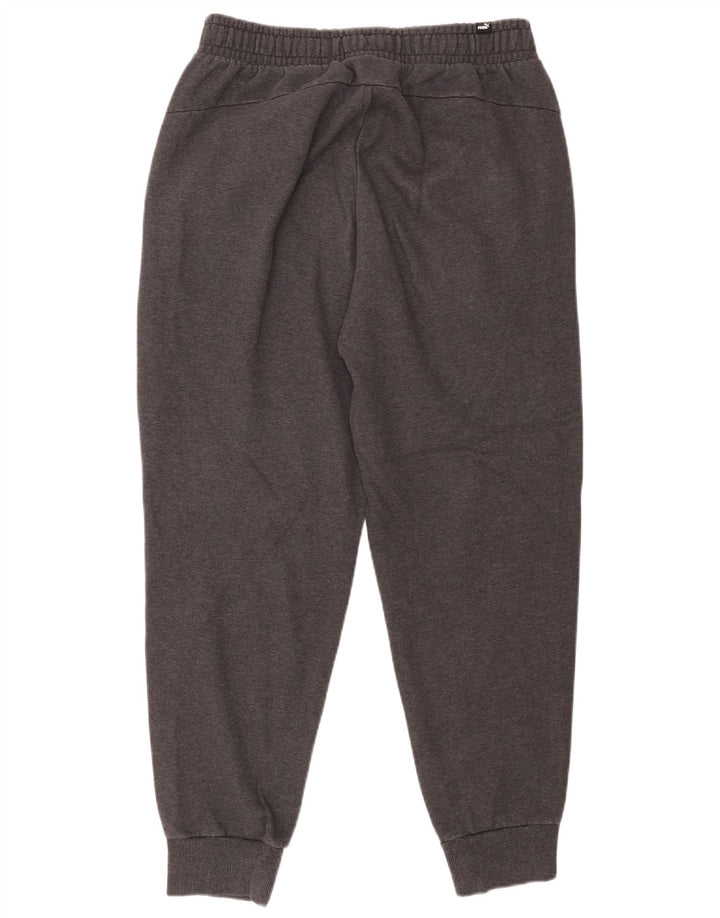 Puma Męskie Duże Szare Bawełniane