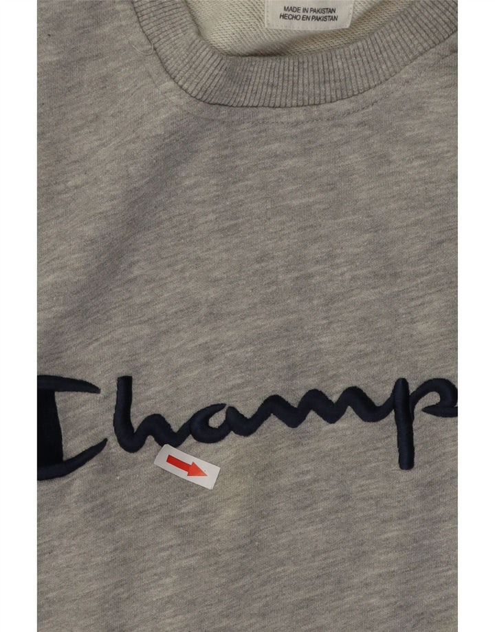 Męski sweter z grafiką Champion, 2XL, szara, nakrapiana bawełna