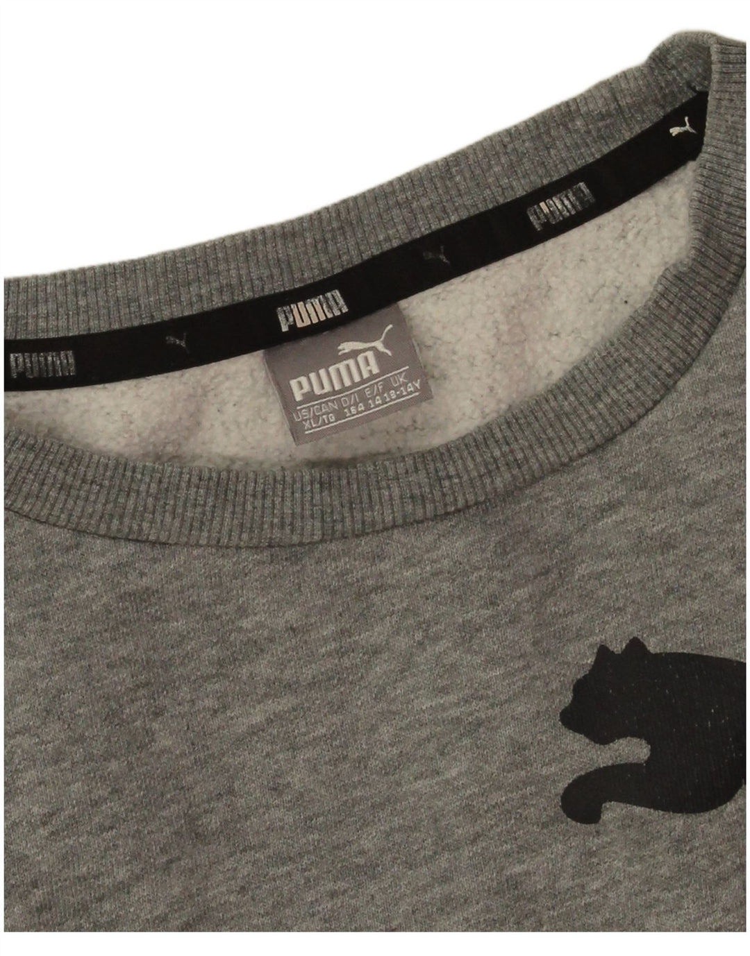 Chłopięca bluza z grafiką Puma, 13-14 lat, szara bawełna