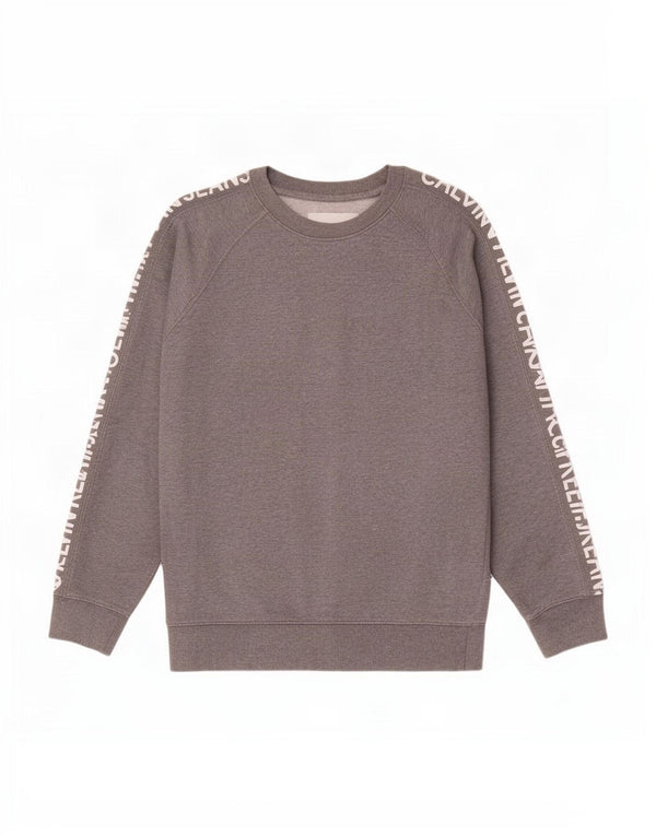 Męska bluza z grafiką Calvin Klein Jeans, średnioszara, bawełniana