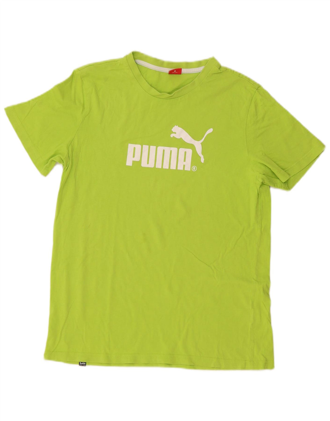 Dziewczęcy T-shirt z grafiką PUMA, 15-16 lat, zielona bawełna