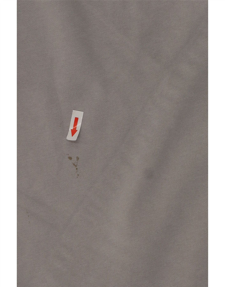 Męska bluza z grafiką Lacoste, rozmiar 3, mała, szara, z blokami kolorów