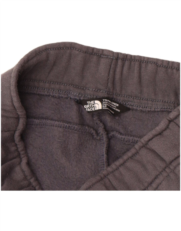 Chłopięce spodnie dresowe THE NORTH FACE Joggers 7-8 lat, małe, szare