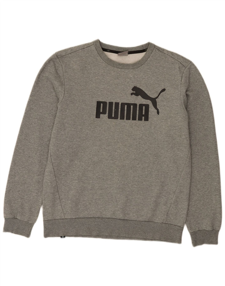 Męska bluza z grafiką Puma, średnia, szara, bawełniana nakrapiana