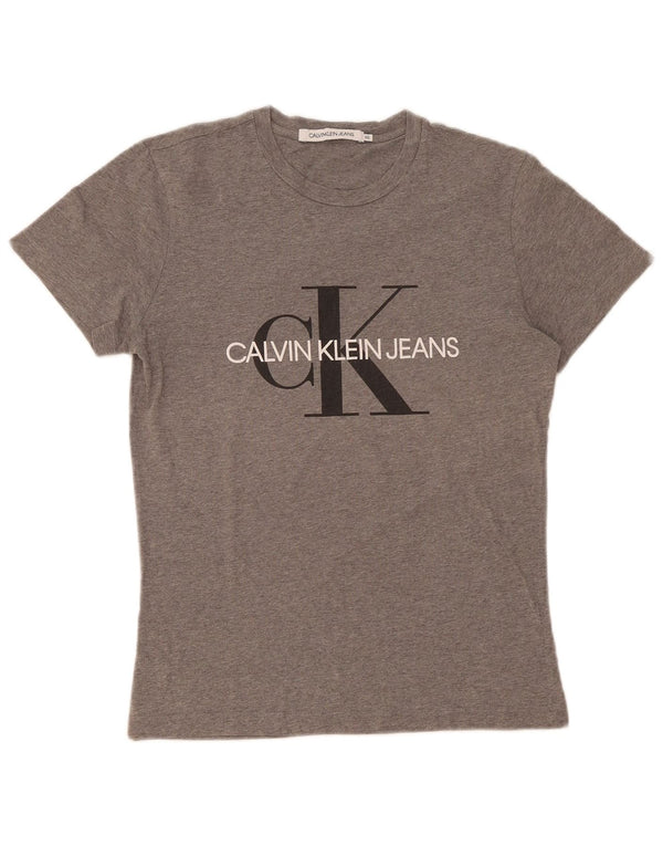 Męska koszulka z grafiką Calvin Klein Jeans Top XS, szara bawełna