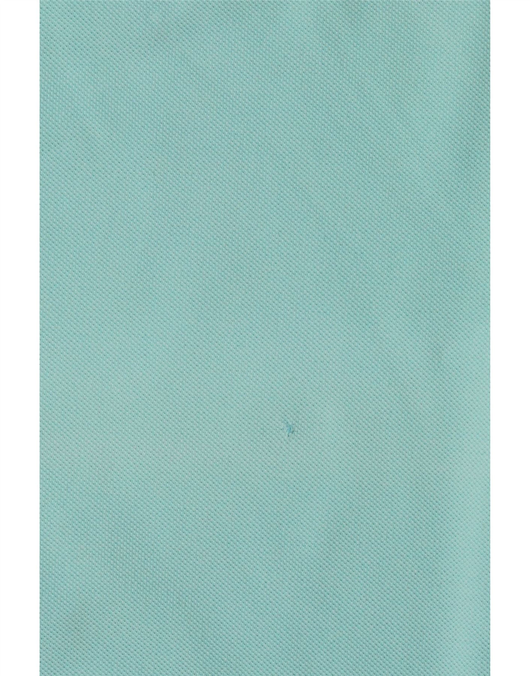 POLO RALPH LAUREN Mens Polo Shirt Large Blue Cotton