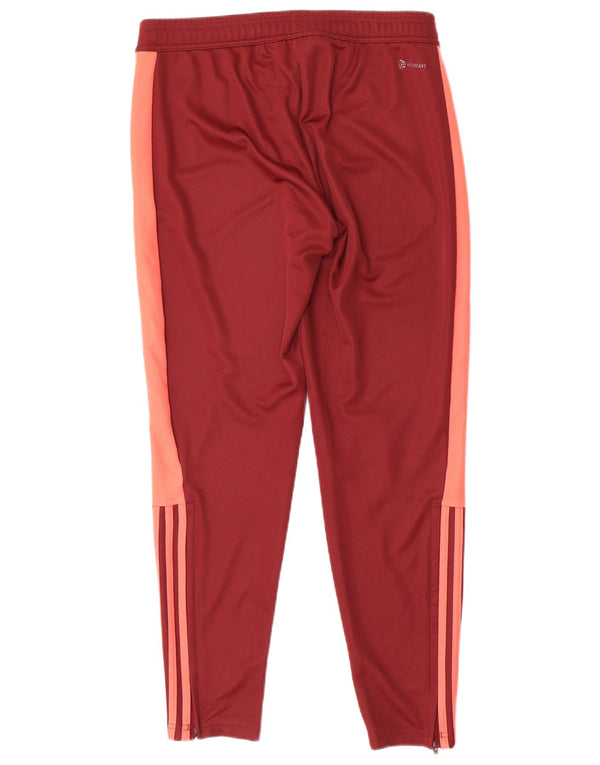 Damskie spodnie dresowe Adidas Aeroready UK 12/14 w kolorze średniej czerwieni