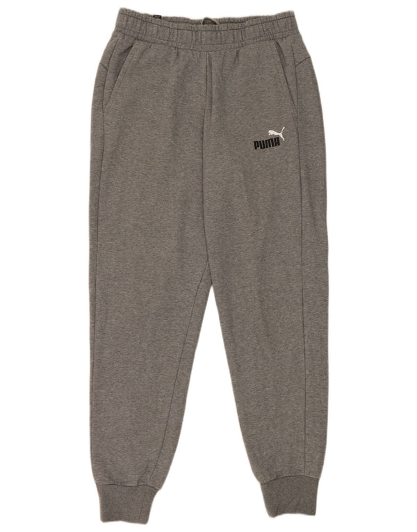 Męskie spodnie dresowe Puma Joggers, średnioszare, bawełniane