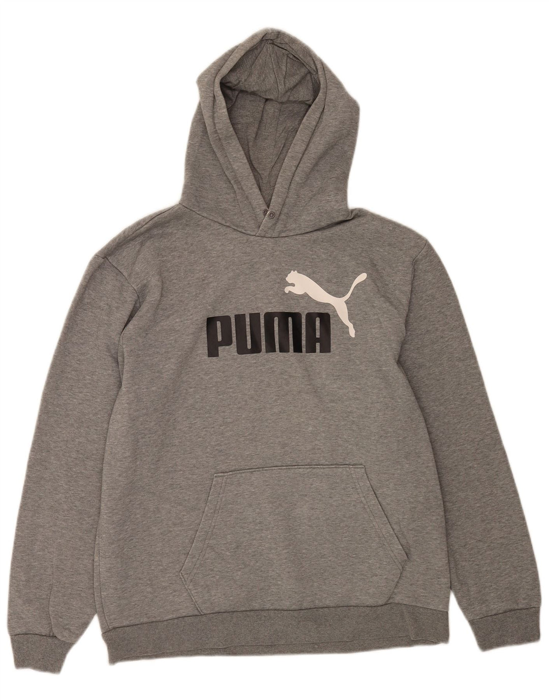 Męski sweter z kapturem Puma z grafiką, duży, szary