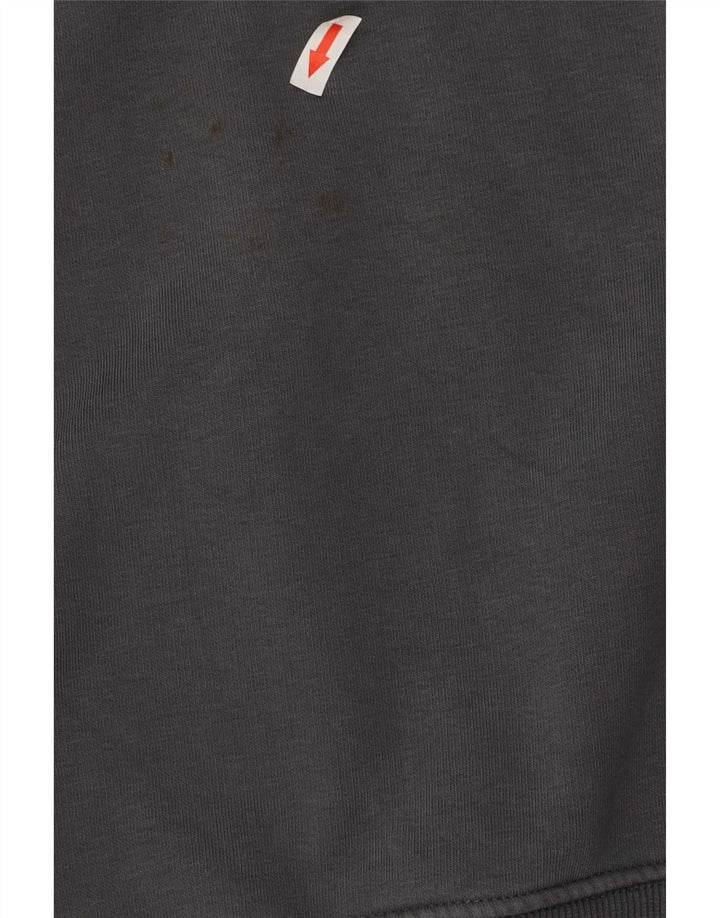 Męska bluza z grafiką Alpha Industries, mała, szara, bawełniana