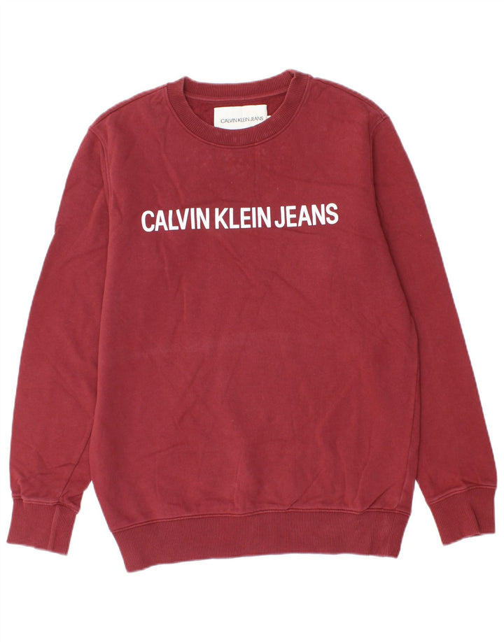 CALVIN KLEIN JEANS Męski sweter z grafiką, mały, bordowy, bawełniany