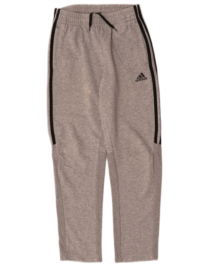 Chłopięce spodnie dresowe Adidas 11-12 lat, szara bawełna