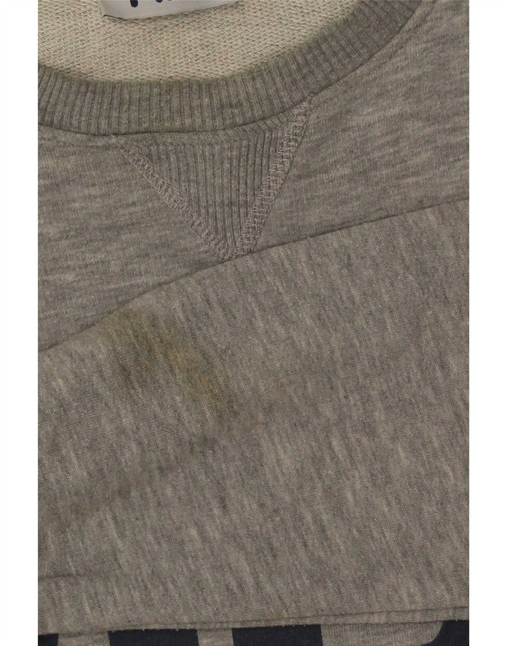 Męska bluza z grafiką Fila, mała, szara, nakrapiana bawełna