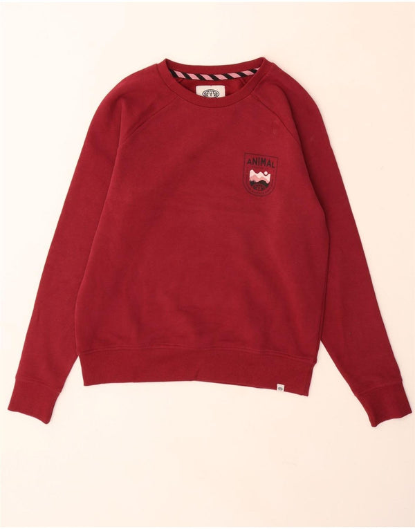 Damska bluza oversize z grafiką ANIMAL UK 10 Small Burgund