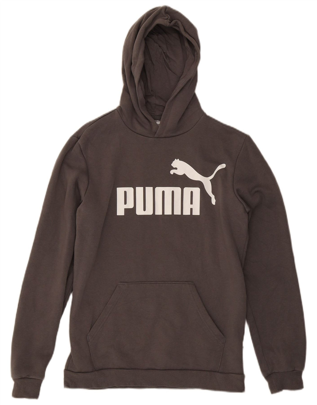 Chłopięcy sweter z kapturem i grafiką PUMA, 15-16 lat, szara bawełna