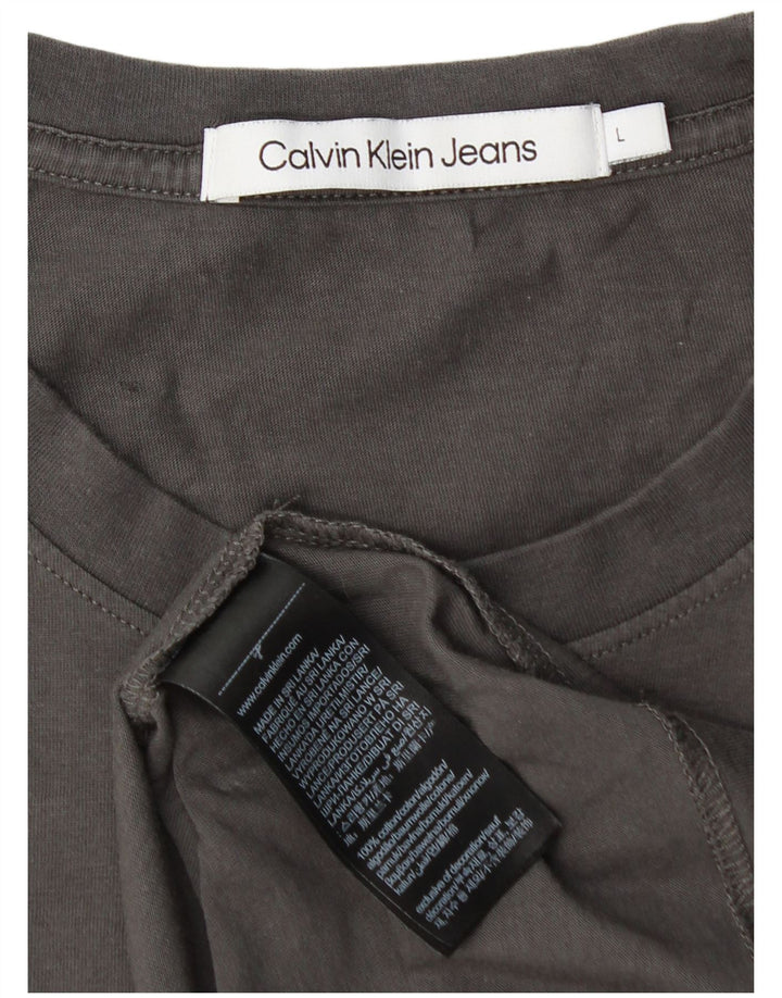 Męski T-shirt z grafiką CALVIN KLEIN JEANS, duży, szary, bawełniany