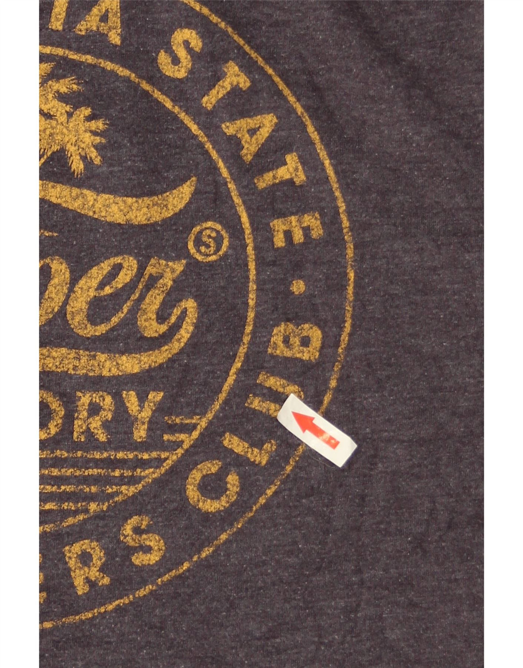Damski T-shirt z grafiką Superdry Top UK 12, średnioszary, bawełniany