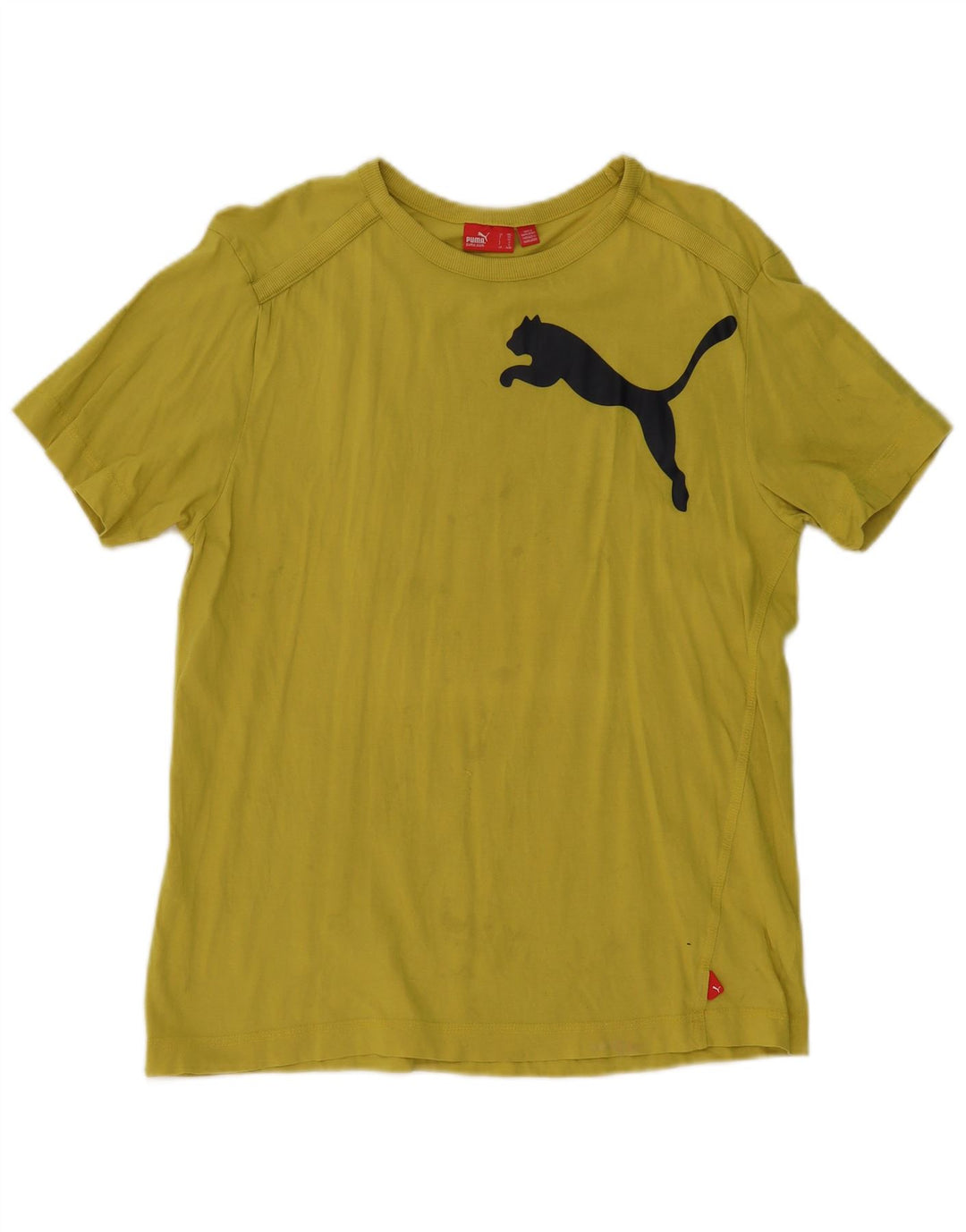 Chłopięca koszulka z grafiką Puma, 15-16 lat, żółta