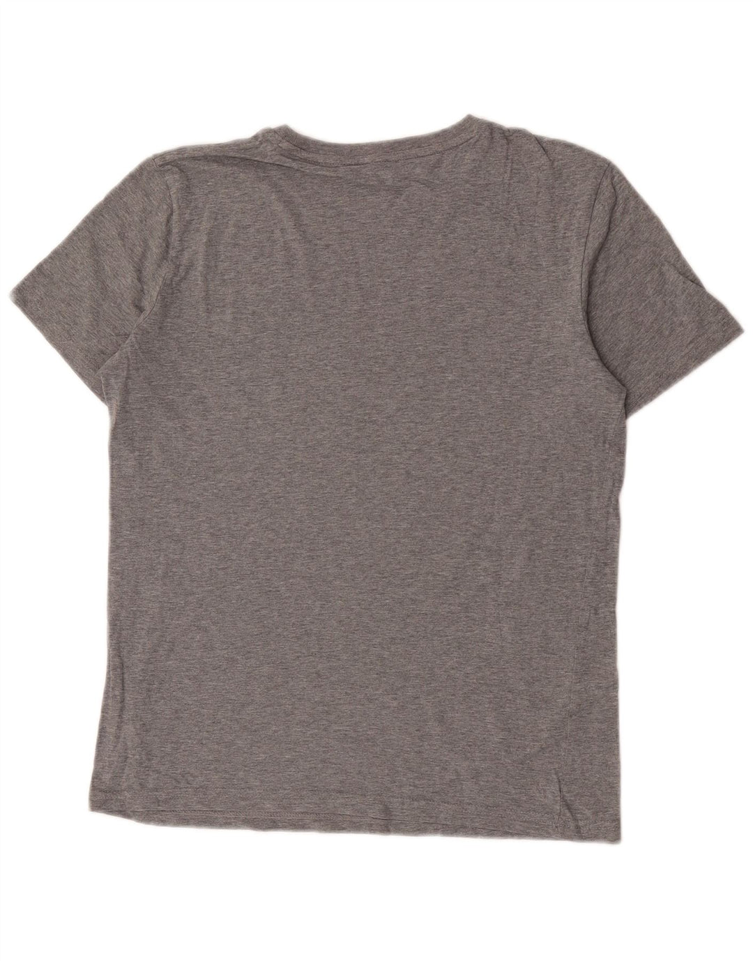 Chłopięcy T-shirt z grafiką Puma, 15-16 lat, szary