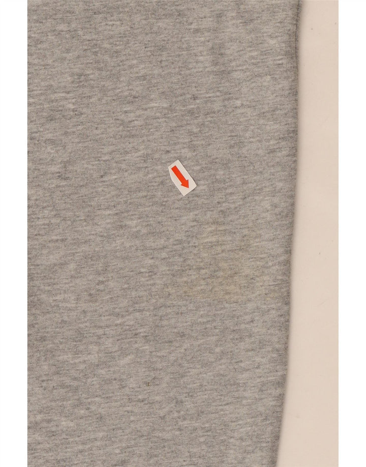 Męskie spodnie dresowe ELLESSE, duże, szare, bawełniane