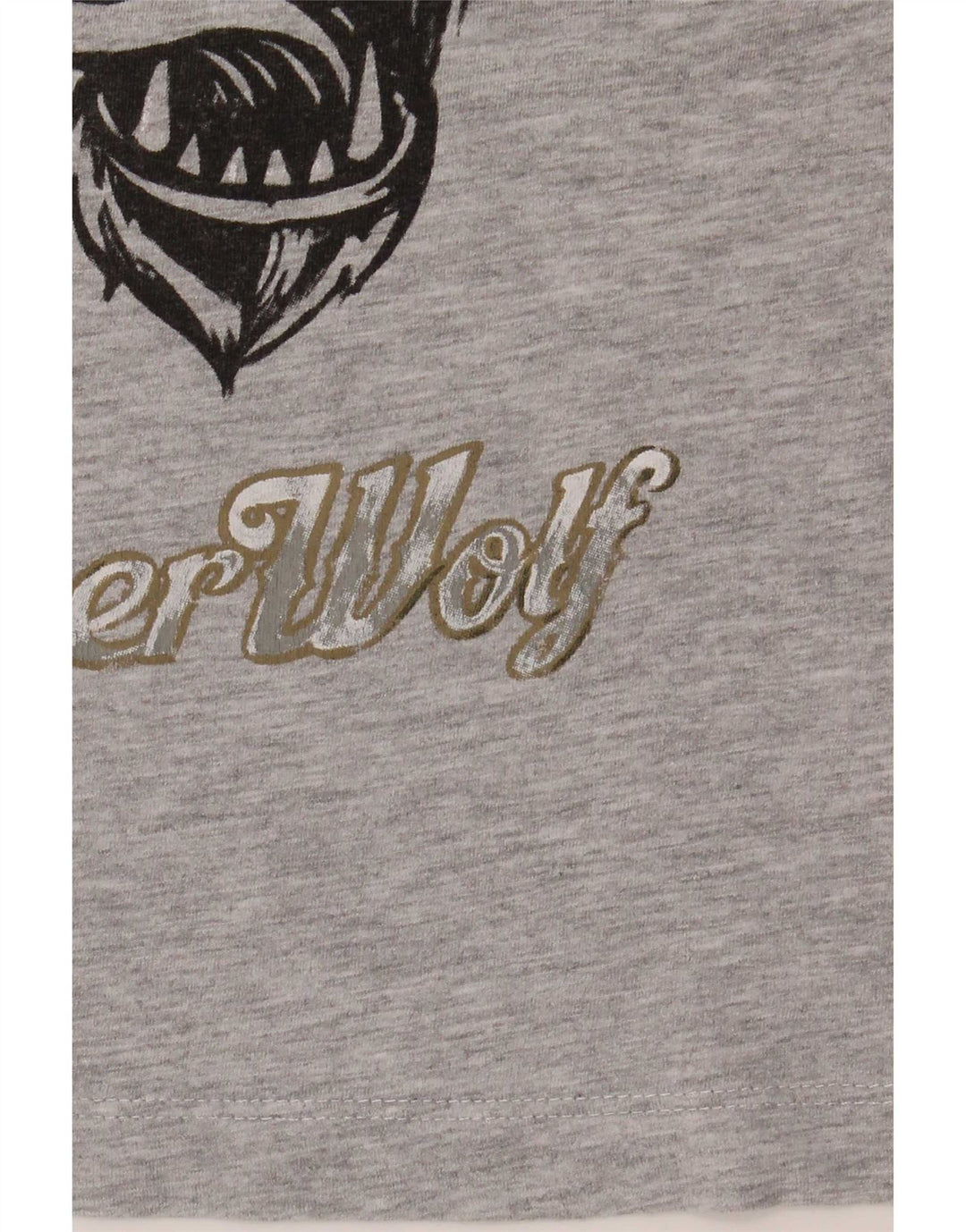 Chłopięcy T-shirt z grafiką Zara 7-8 lat, szary