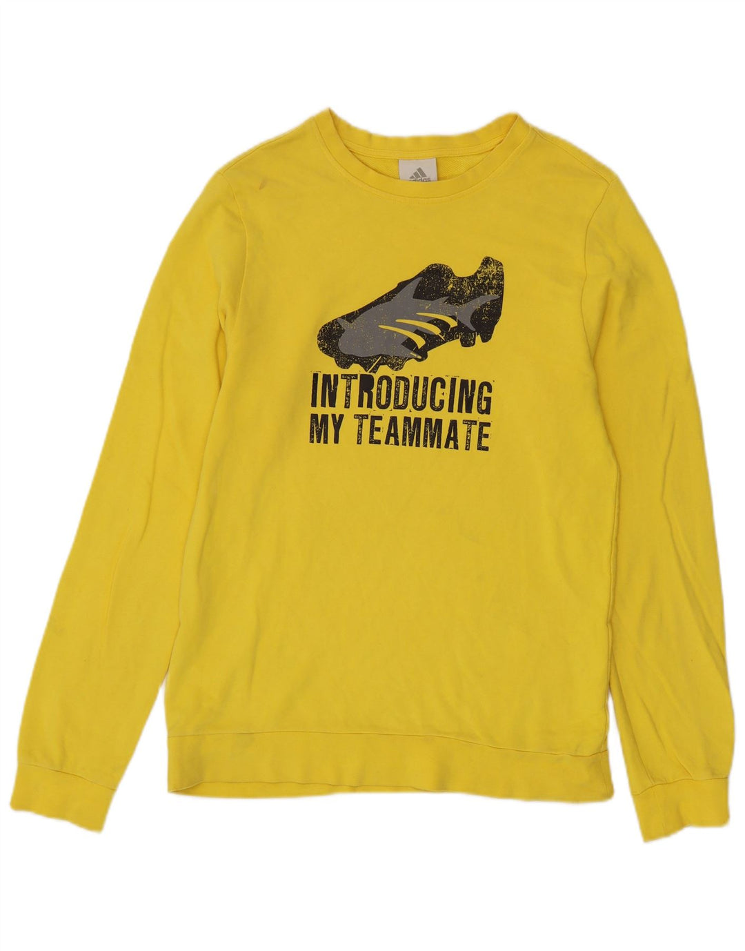 Męska bluza Adidas Graphic Jumper, średni żółty