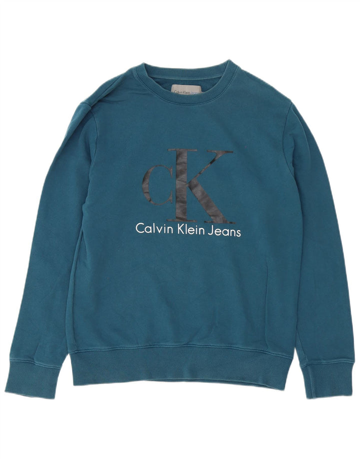 Męska bluza z grafiką Calvin Klein Jeans, średnioniebieska, bawełniana