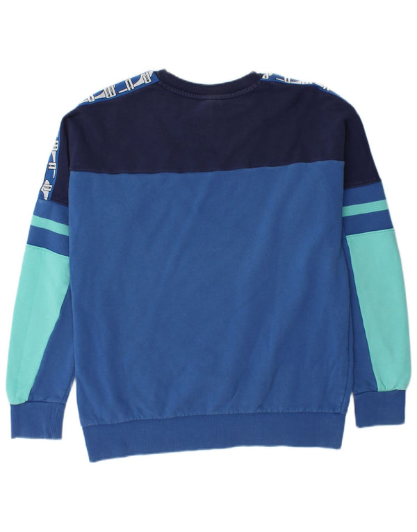 Męska bluza z grafiką PUMA, bawełniana, w kolorze średniego błękitu