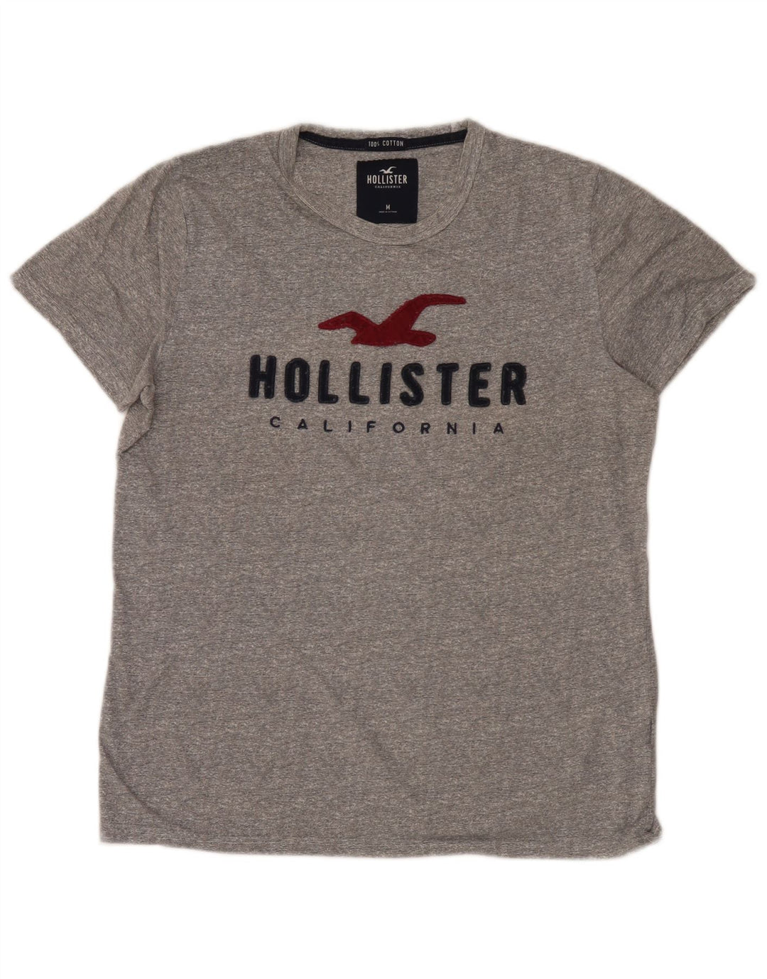 Męski T-shirt z grafiką Hollister, średnioszary, bawełniany