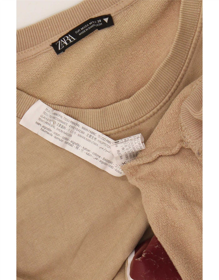 Męski sweter z grafiką Zara, średnio beżowy, bawełniany
