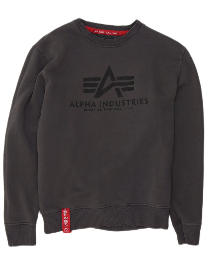 Męska bluza z grafiką Alpha Industries, mała, szara, bawełniana