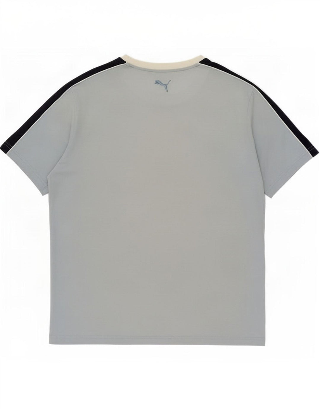 Męski T-shirt Puma z grafiką, duży, niebieski, z blokami kolorów