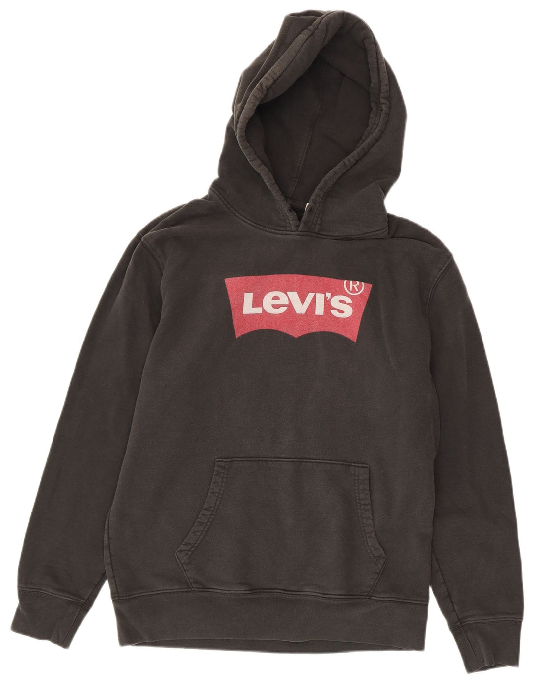 Męski sweter z kapturem Levi's Standard Graphic, średni czarny, bawełniany
