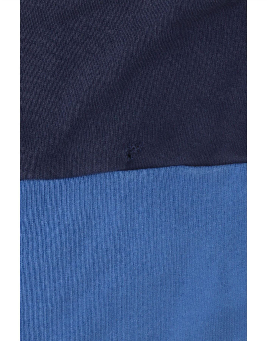 Męska bluza z grafiką PUMA, bawełniana, w kolorze średniego błękitu