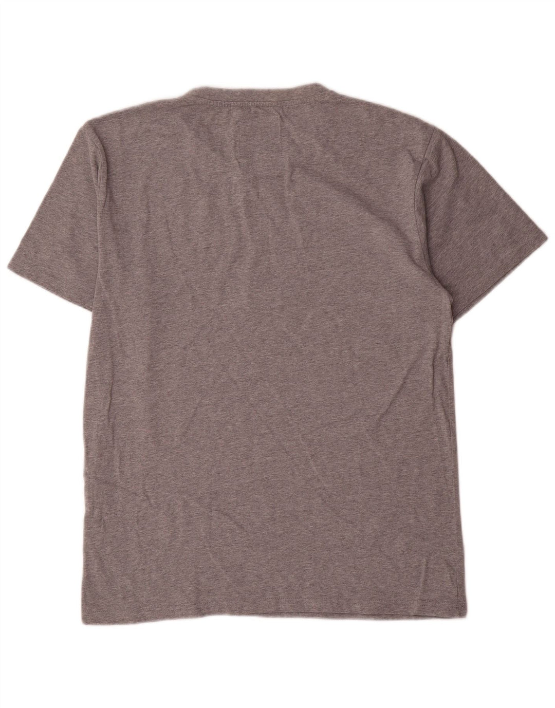 Męski T-shirt Champion z grafiką, duży, szary, bawełniany