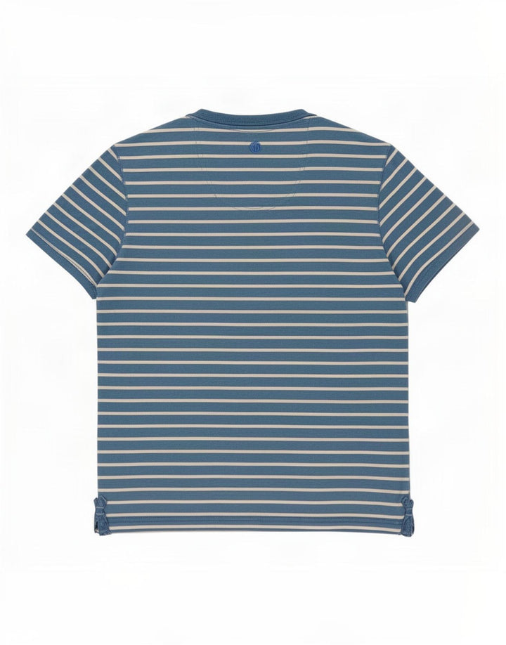 T-shirt męski Fat Face, bawełniany, w średnie niebieskie paski