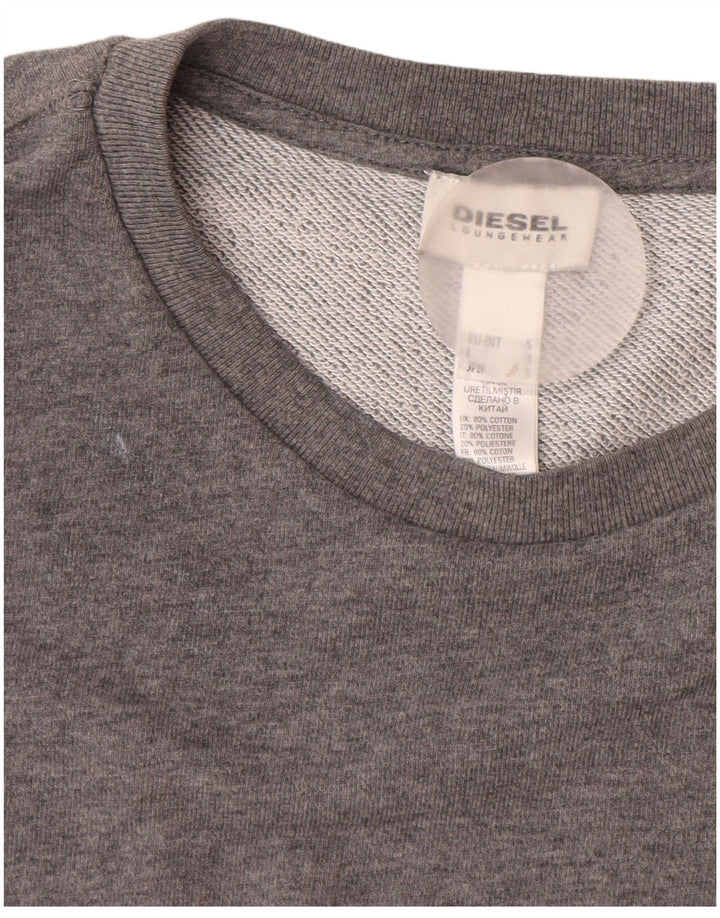 Męska bluza z grafiką Diesel, mała, szara, bawełniana