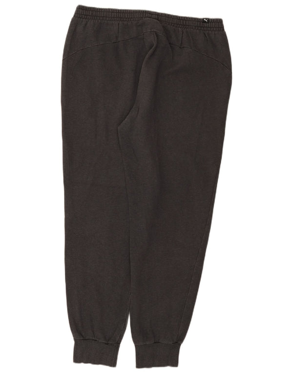 Męskie spodnie dresowe Puma Graphic Joggers XL Szara bawełna