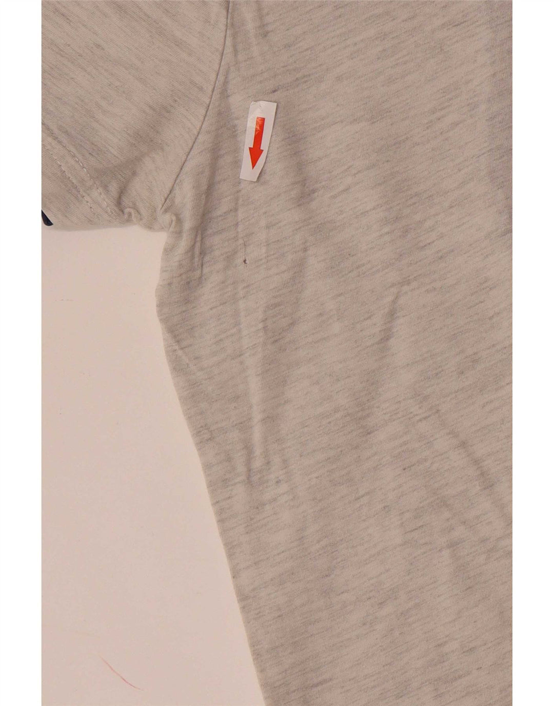 Męski T-shirt z grafiką Desigual, duży, szary, bawełniany