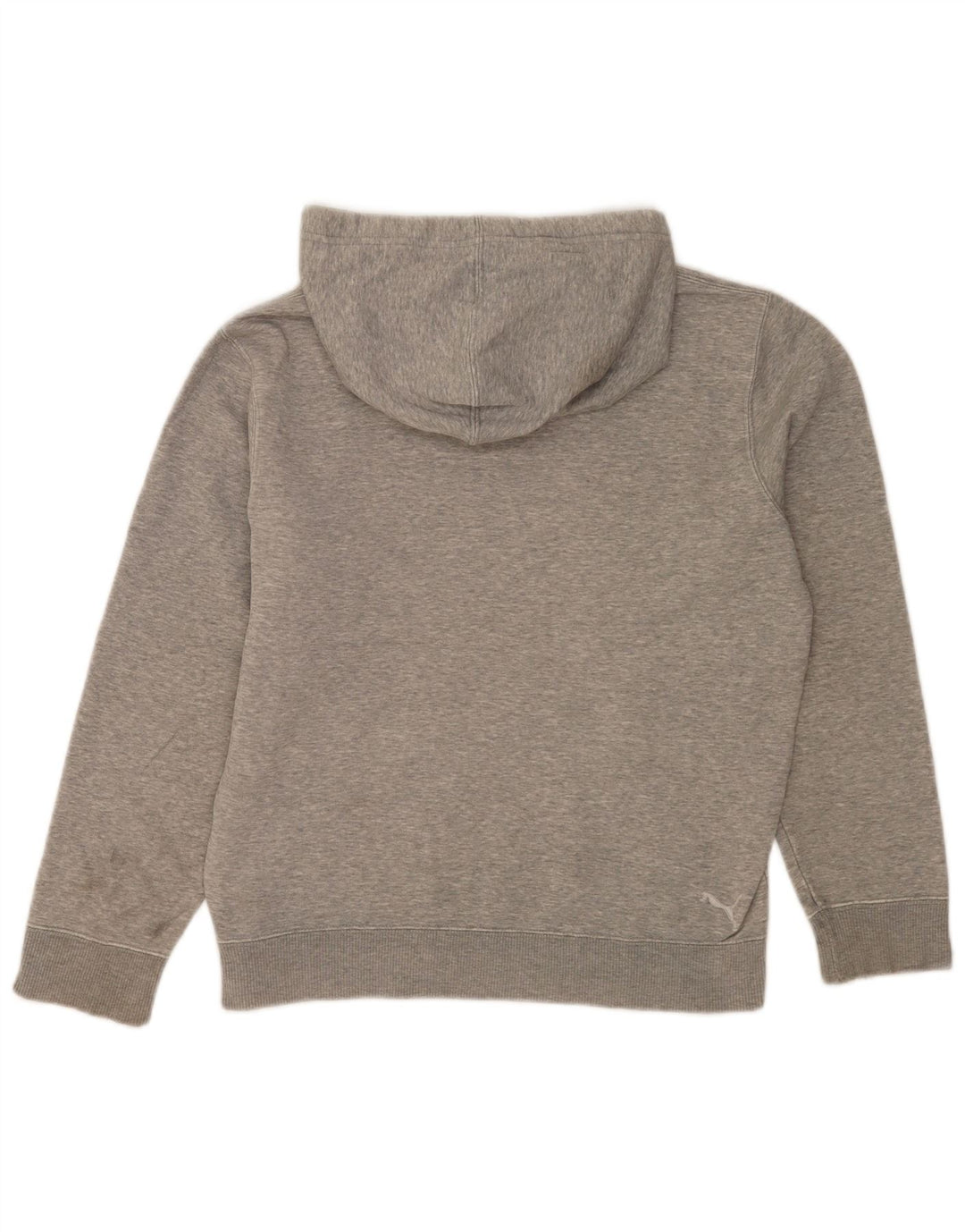 Męska bluza z kapturem Puma z grafiką, mała, szara, nakrapiana