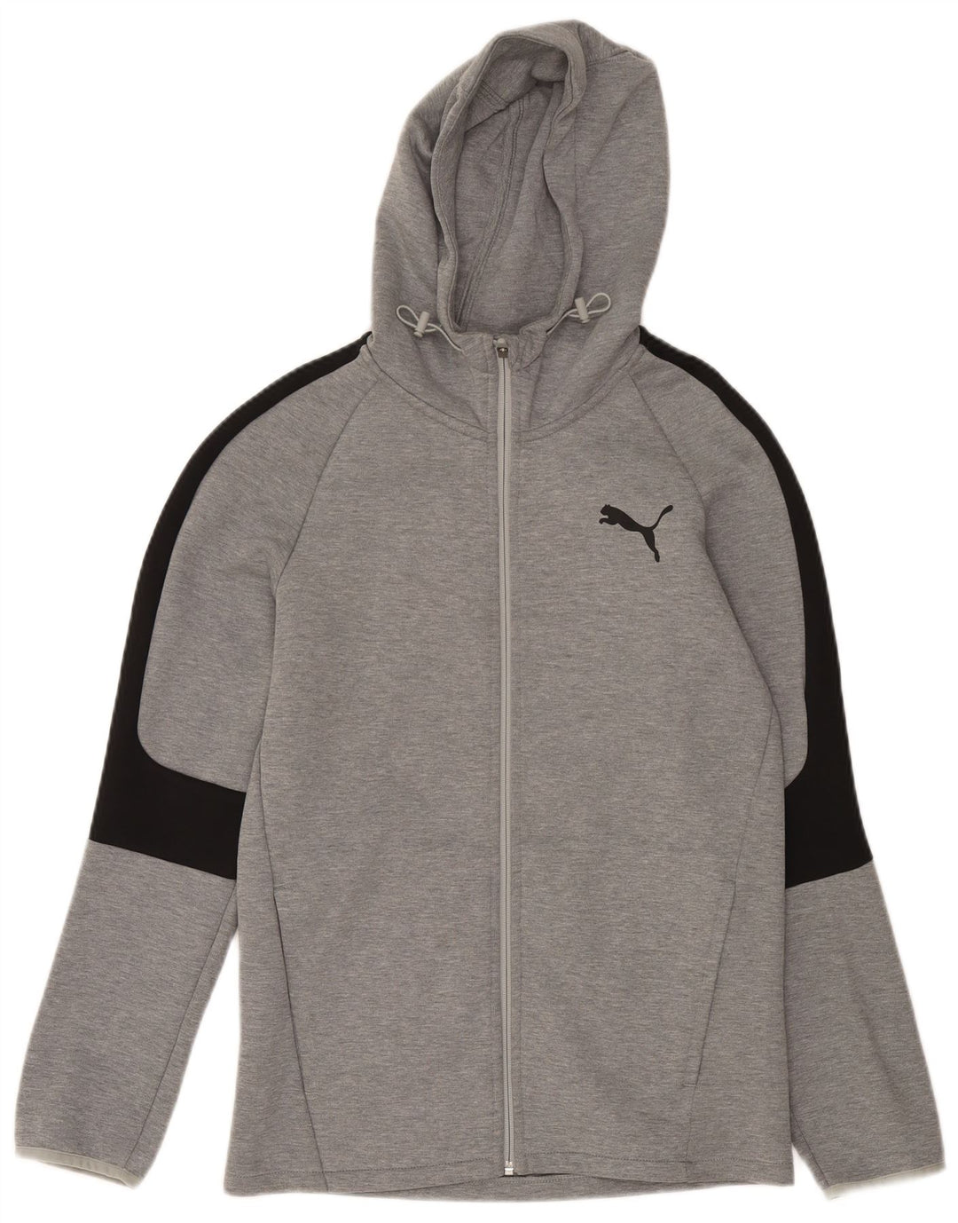 Męski sweter Puma z kapturem i zamkiem, mały, szary, bawełniany z blokami kolorów