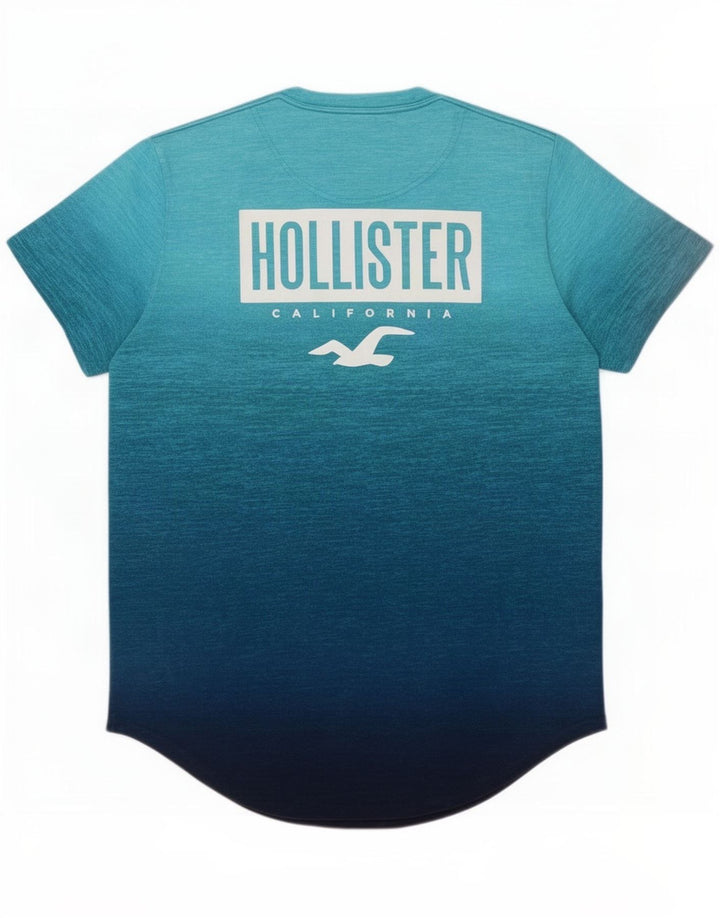 Męska koszulka z grafiką Hollister, bawełniana, w kolorze średniego błękitu